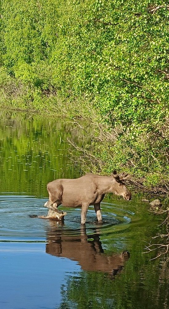 Фотография автора Елена Александрова