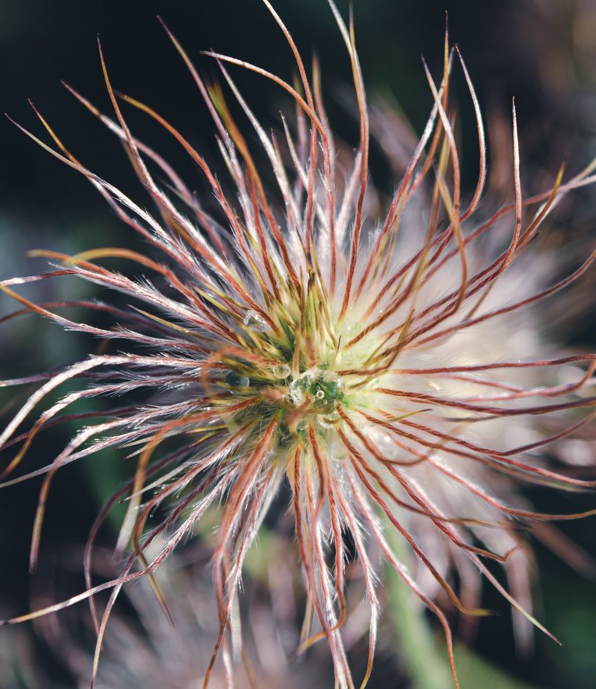 Photograph by Ксения Тенькина