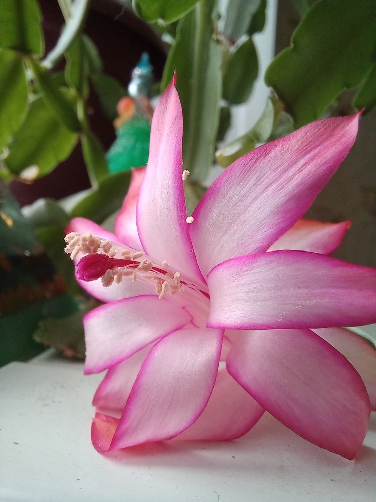 Photograph by Светлана Крон