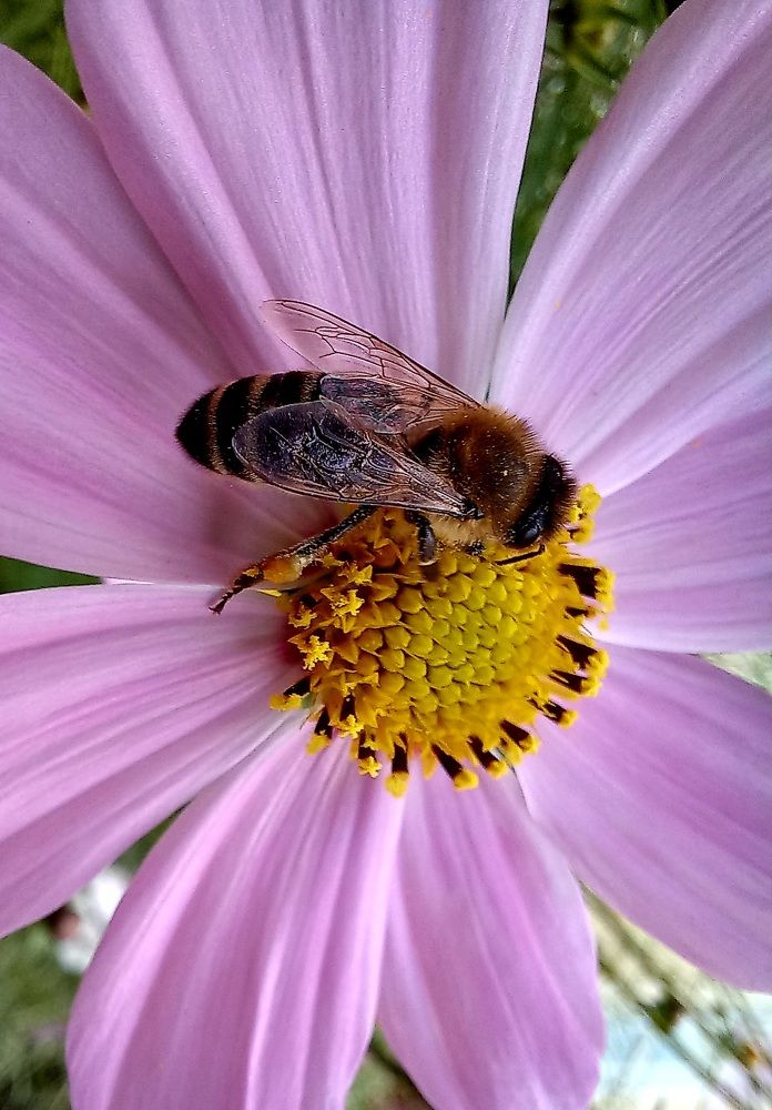 Photograph by Светлана Крон