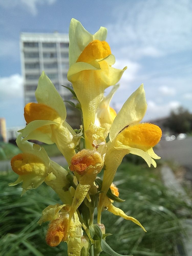 Photograph by Светлана Крон