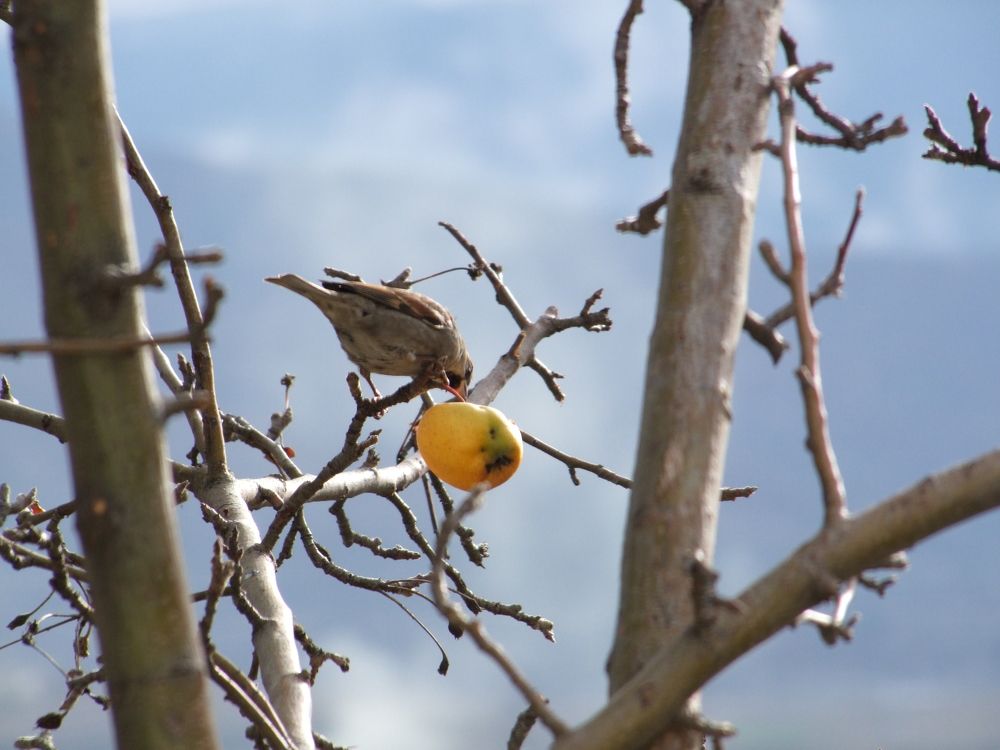 Photograph by Cengiz Yalcin