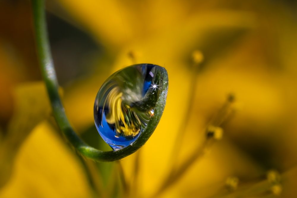 Photograph by Николай Фонарёв