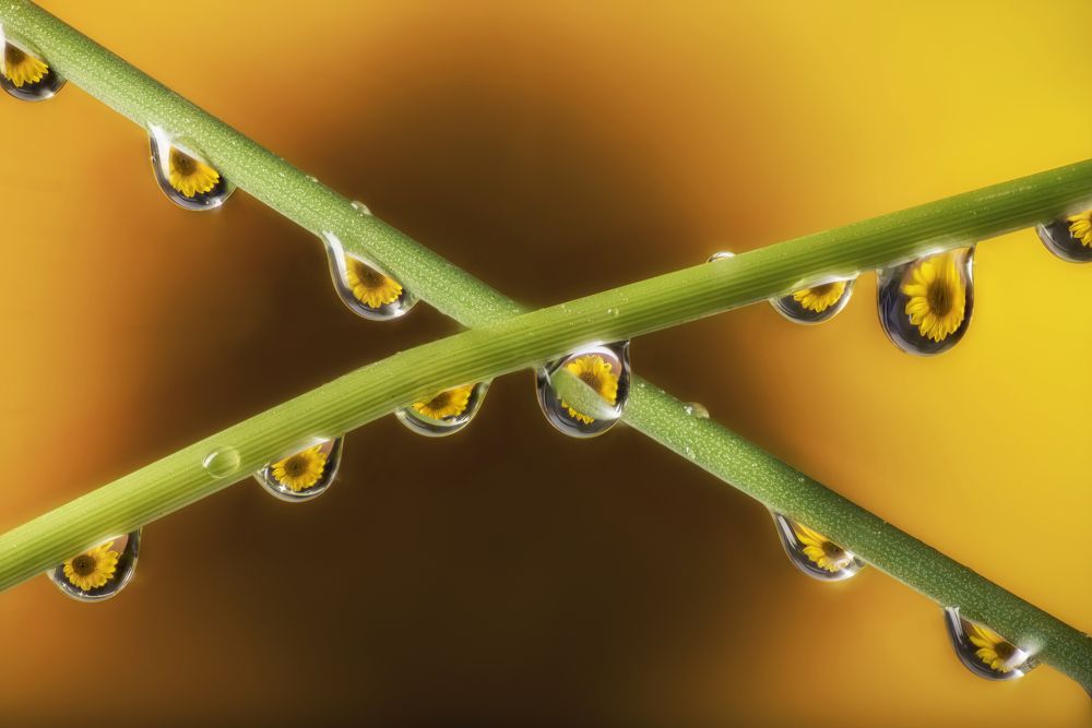 Photograph by Вышарь Максим