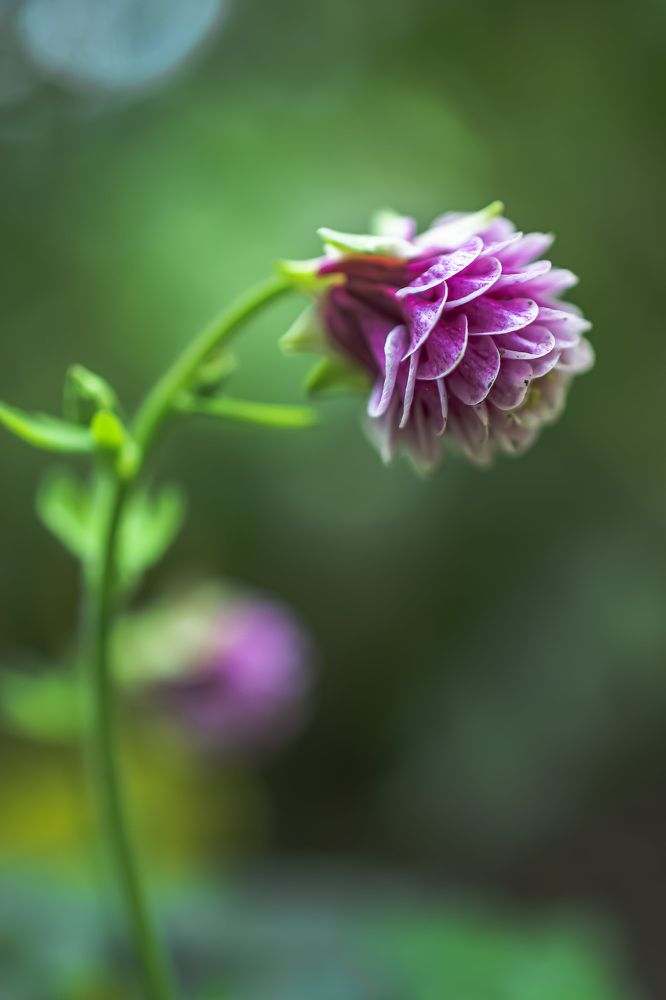 Photograph by Муза Латинская