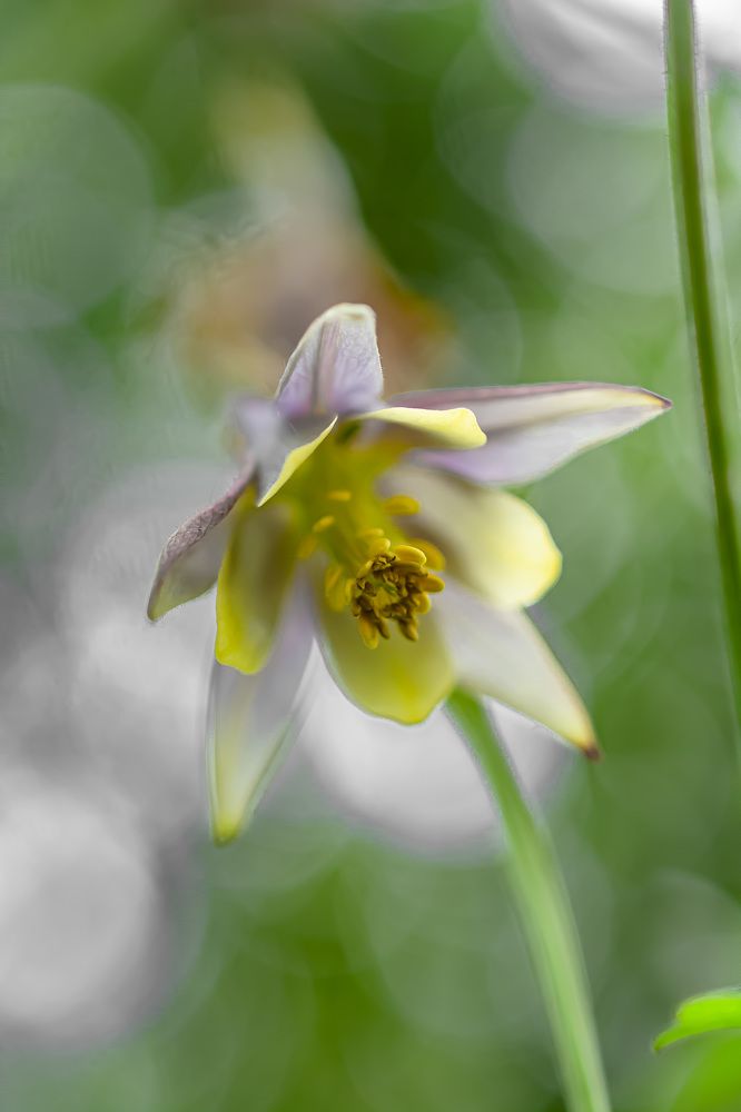 Photograph by Муза Латинская