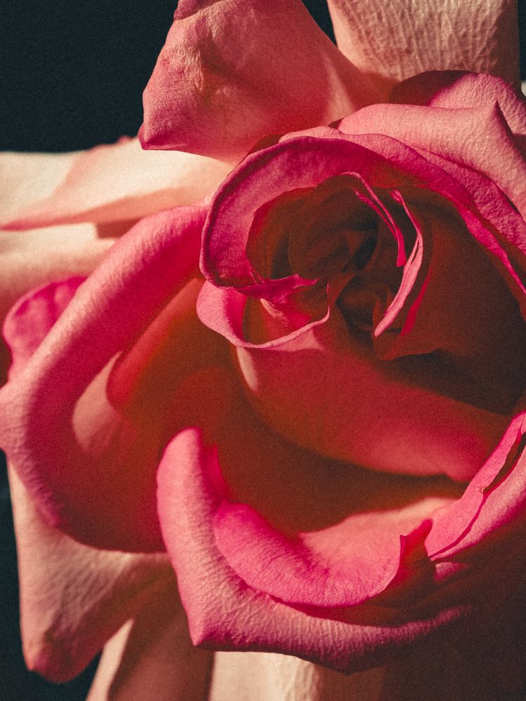 Photograph by Наталья Чернышова