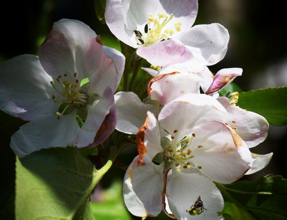 Photograph by Aleksandra Bistrova