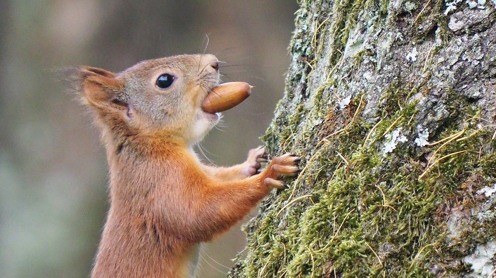 Photograph by Сергей Пушкин