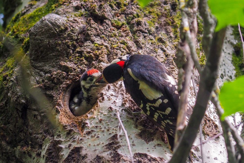 Photograph by Сергей Пушкин