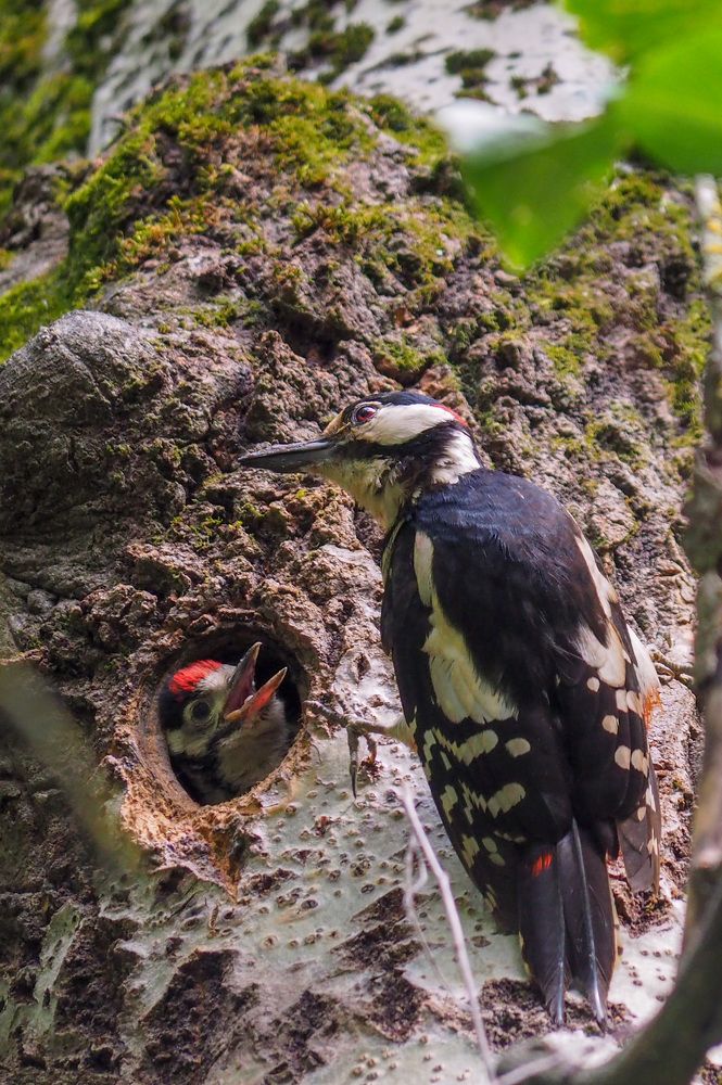 Photograph by Сергей Пушкин