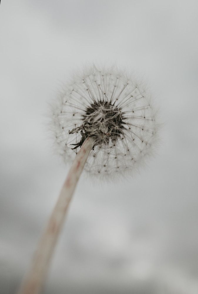 Фотография автора Ольга Дорогина