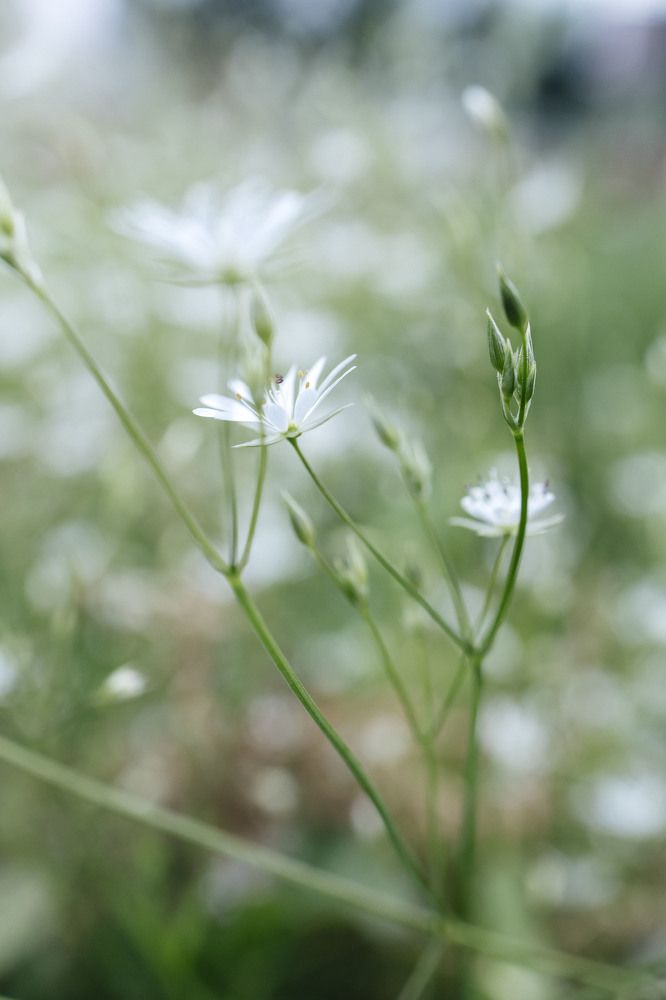 Фотография автора Ольга Дорогина