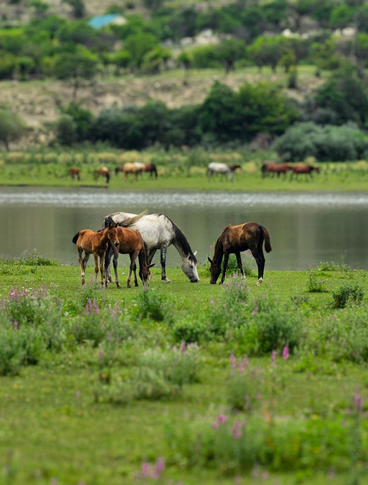 Photograph by Кристина Кораблина