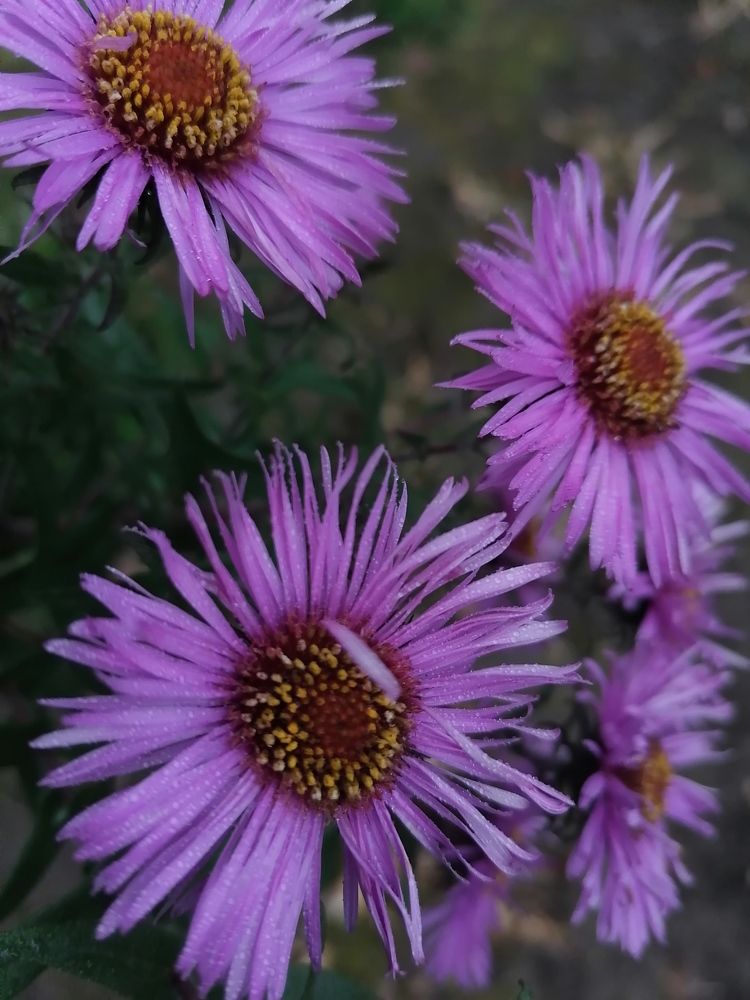 Photograph by Маргарита