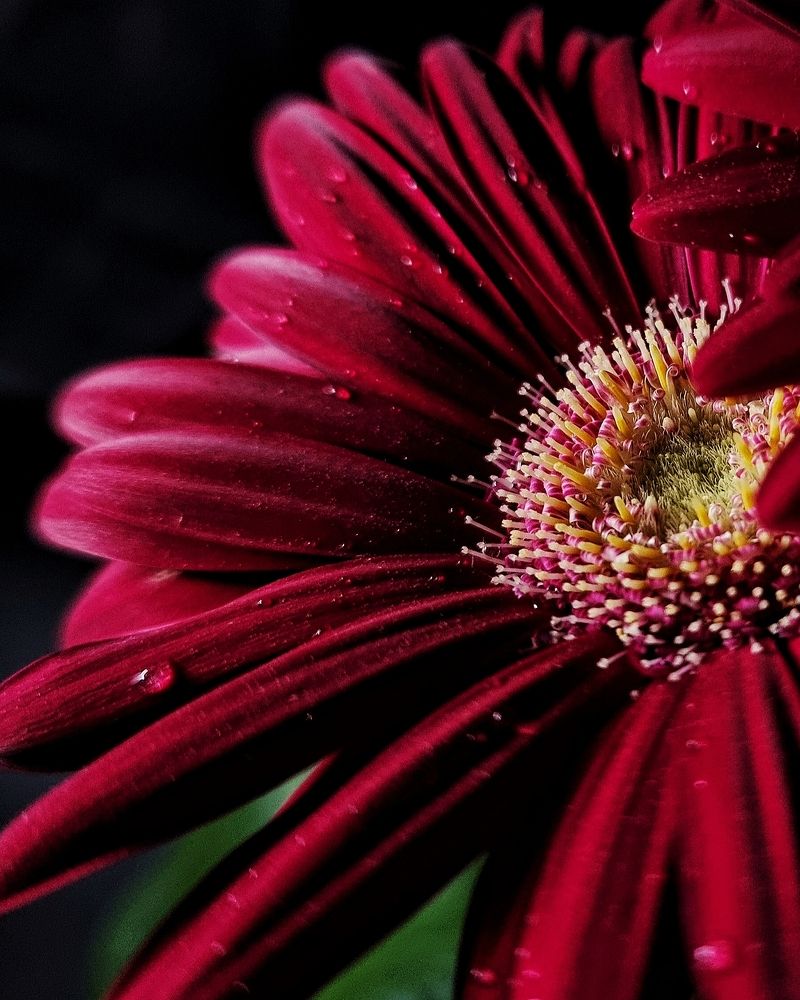 Photograph by Женя Жданова