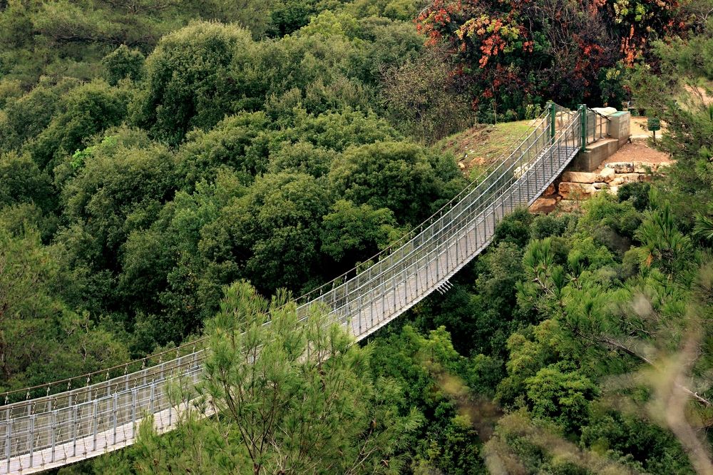 Photograph by mikhail Levin