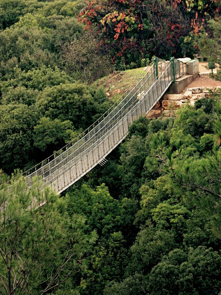 Photograph by mikhail Levin