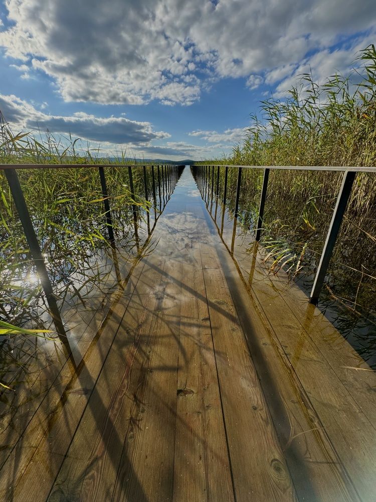 Фотография автора Евгения Елисеева