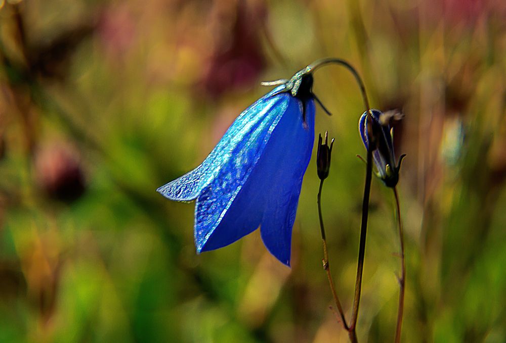 Photograph by Валентин Кузьмин