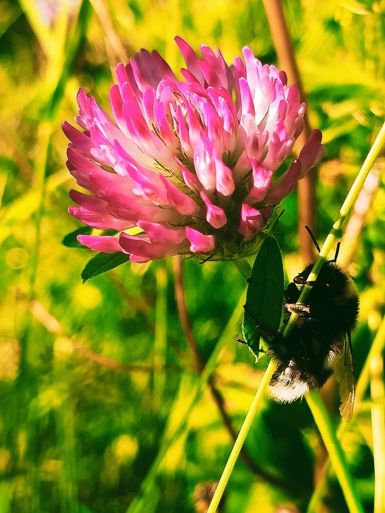 Photograph by Татьяна Бешенкина