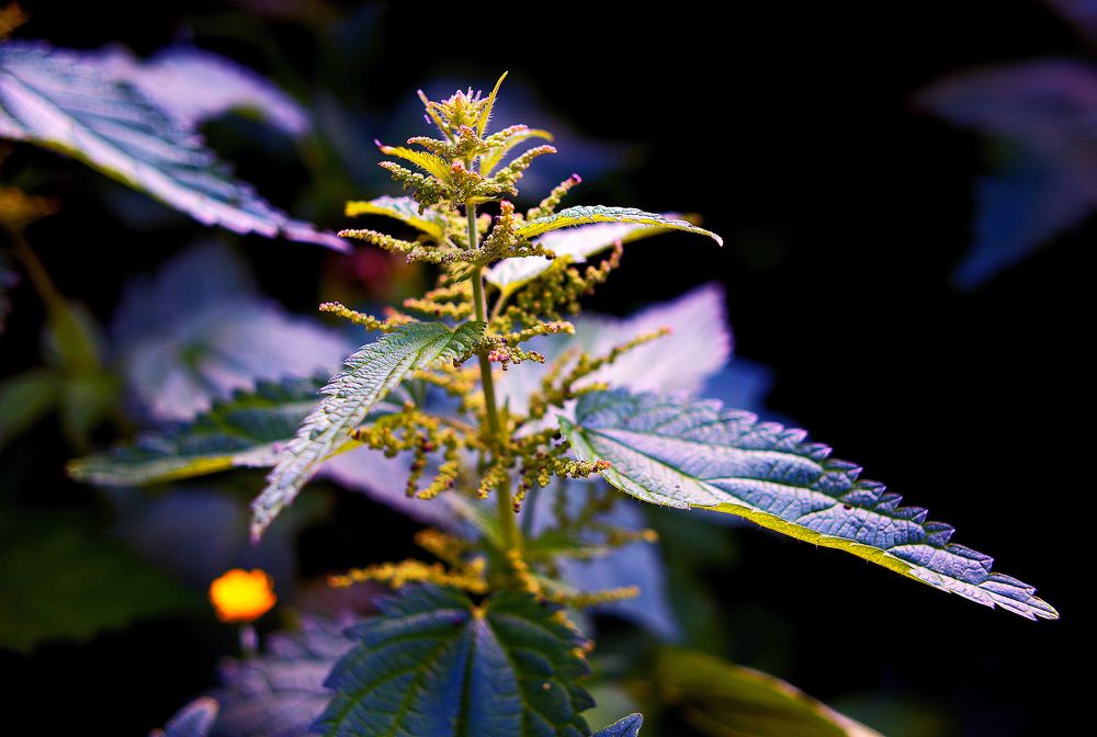 Photograph by Валентин Кузьмин