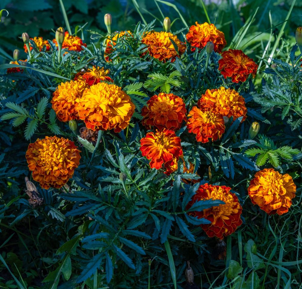 Photograph by Сергей Щербаков