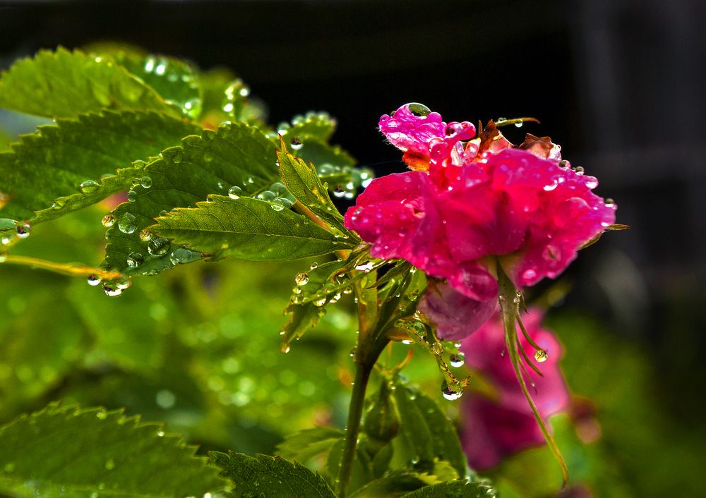 Photograph by Валентин Кузьмин