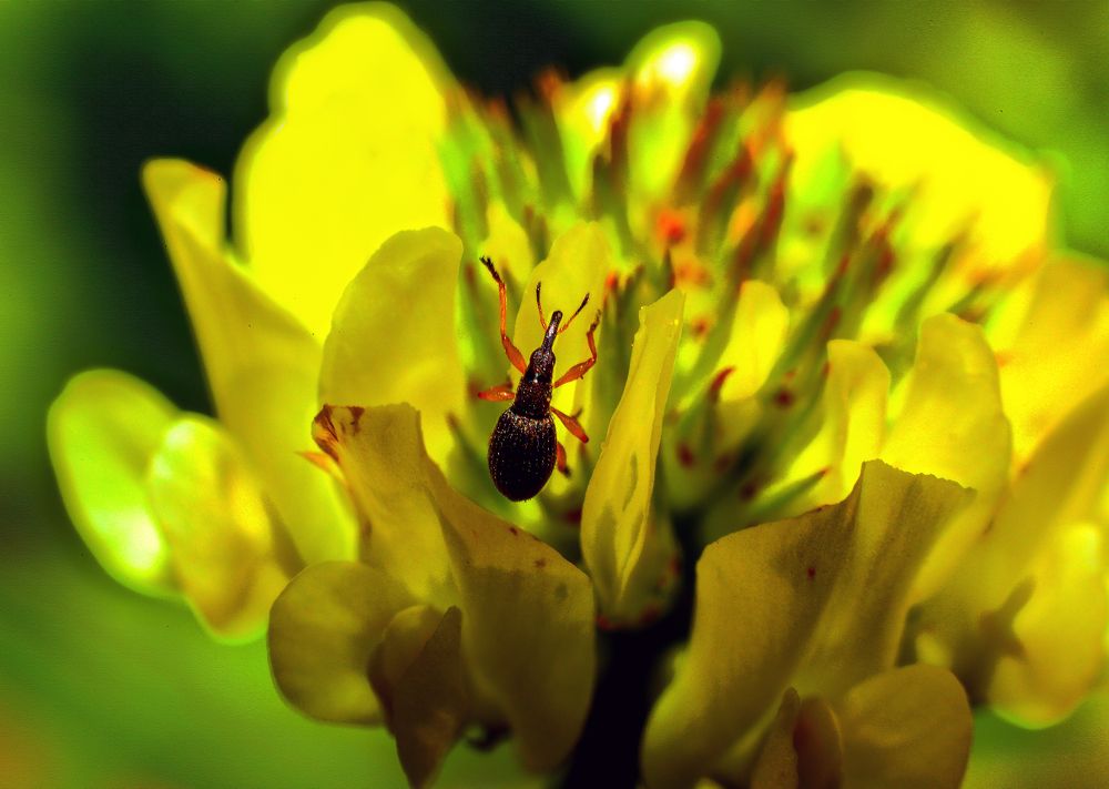 Photograph by Валентин Кузьмин