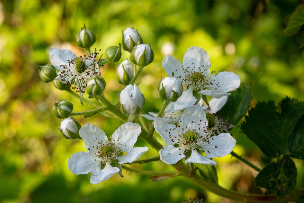 Photograph by Slavcan Vinnikov