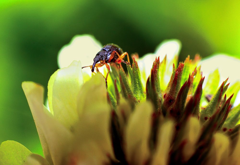 Photograph by Валентин Кузьмин