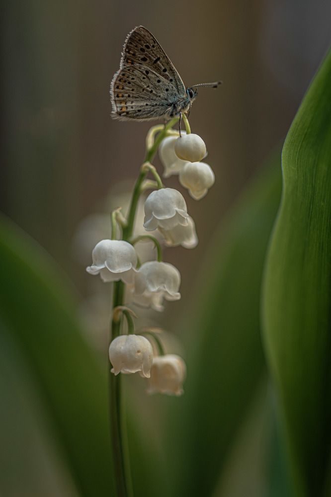 Photograph by Зайцев Роман