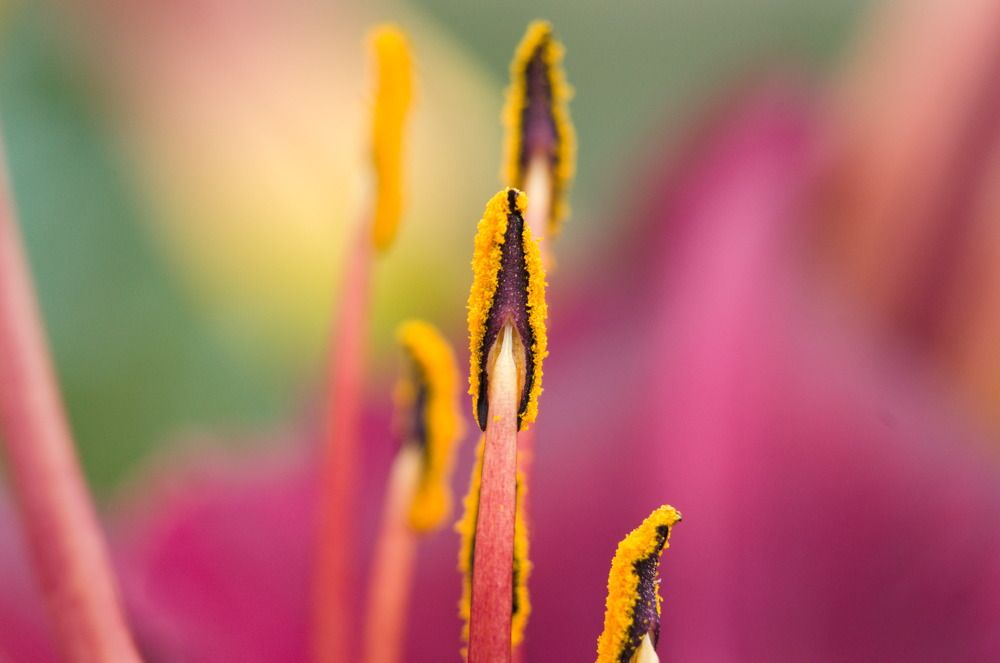 Photograph by Шамина Вера