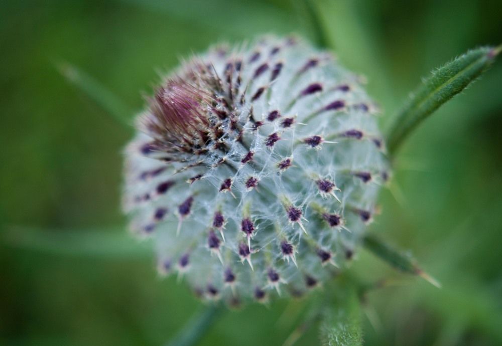 Photograph by Sergei Komlev