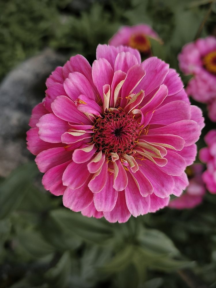 Фотография автора Анатолий Дауров