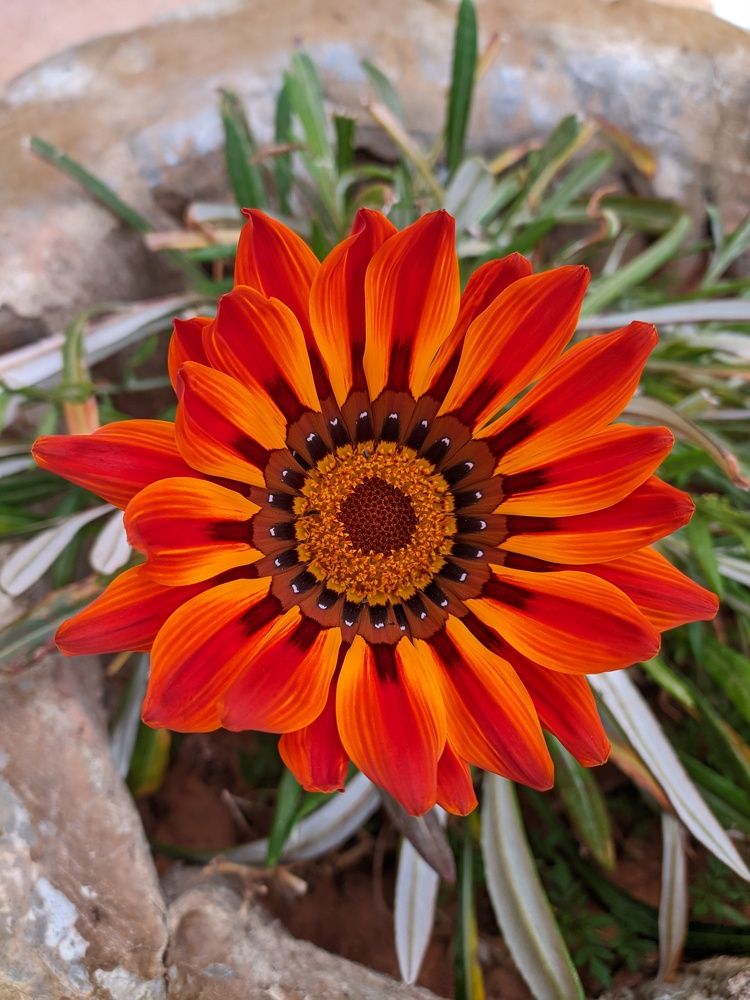 Photograph by abd alghani