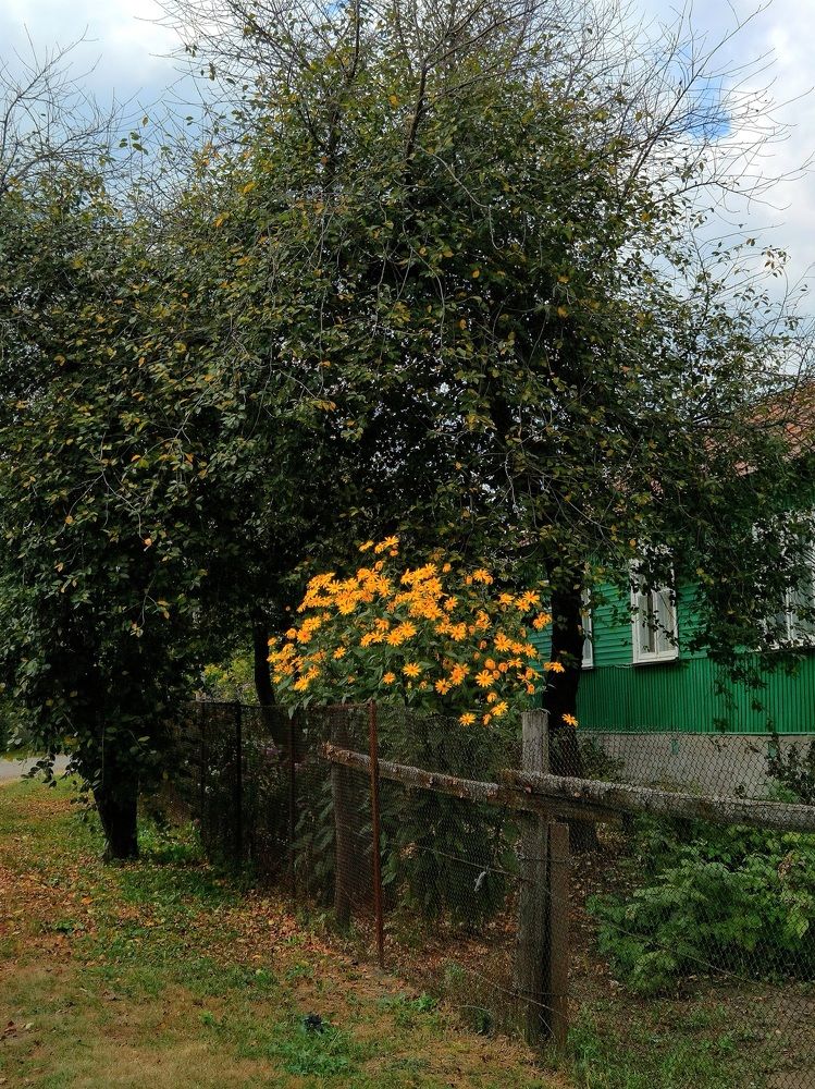 Photograph by Филоненко Николай