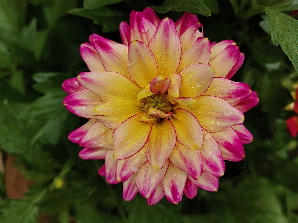 Фотография автора Анатолий Дауров