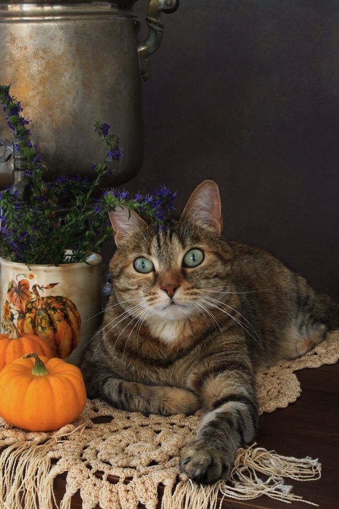 Photograph by Кира Иванова