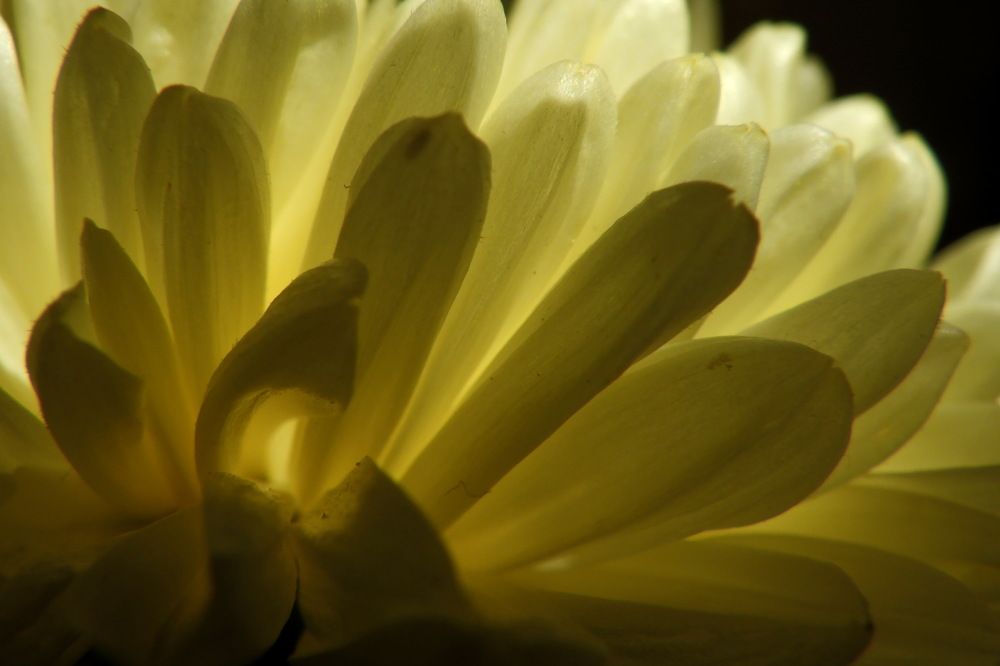 Photograph by Лада Денисова