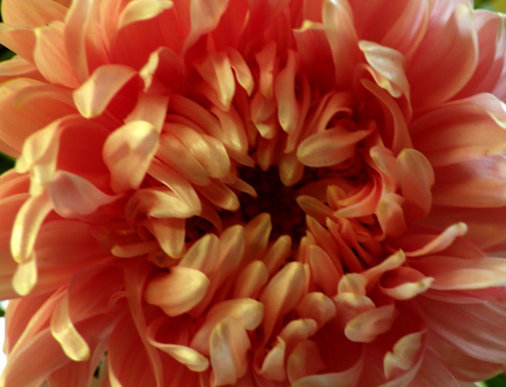 Photograph by Лада Денисова