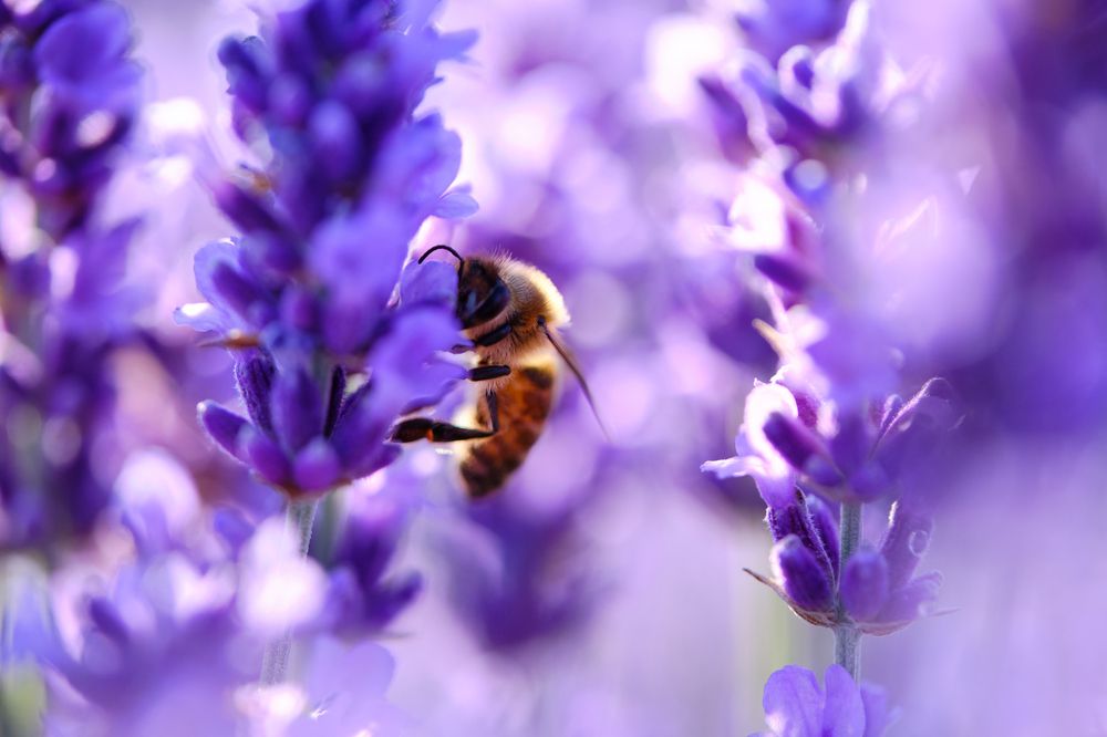 Photograph by Владислав Титов