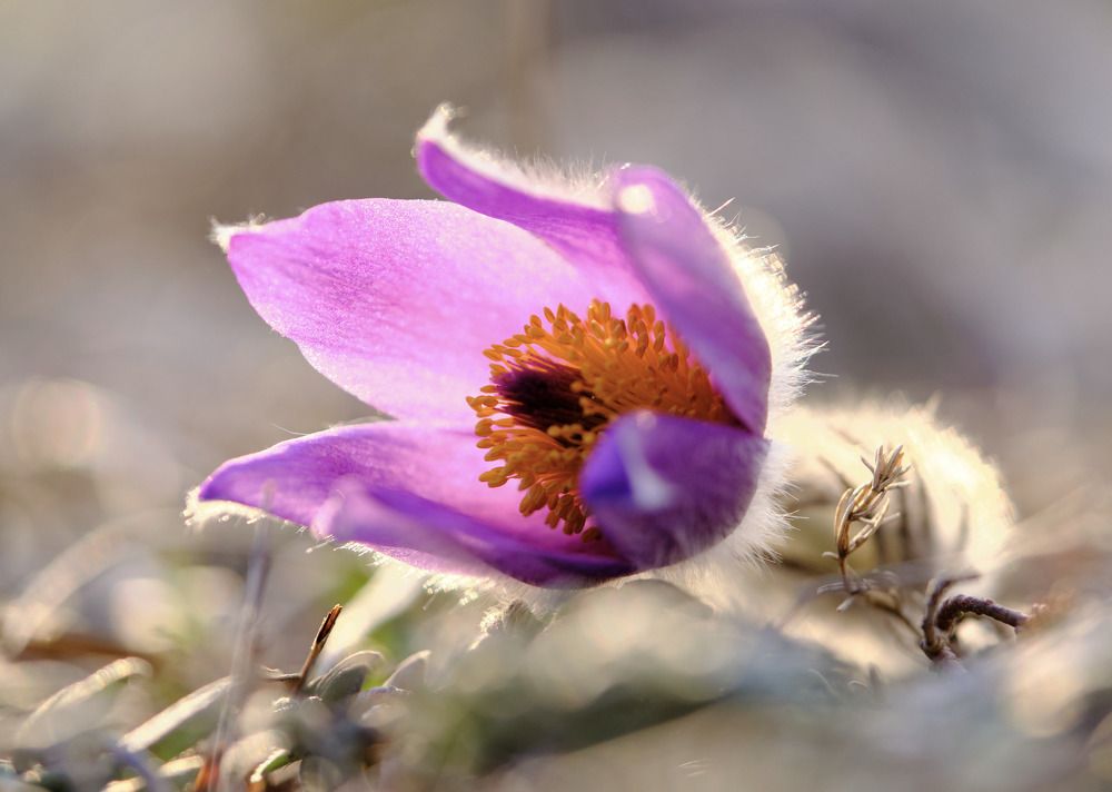 Photograph by Владислав Титов