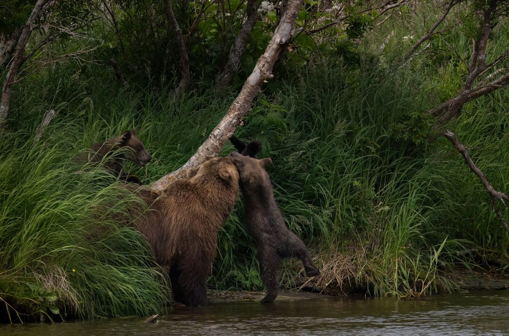 Photograph by Галина Павлова