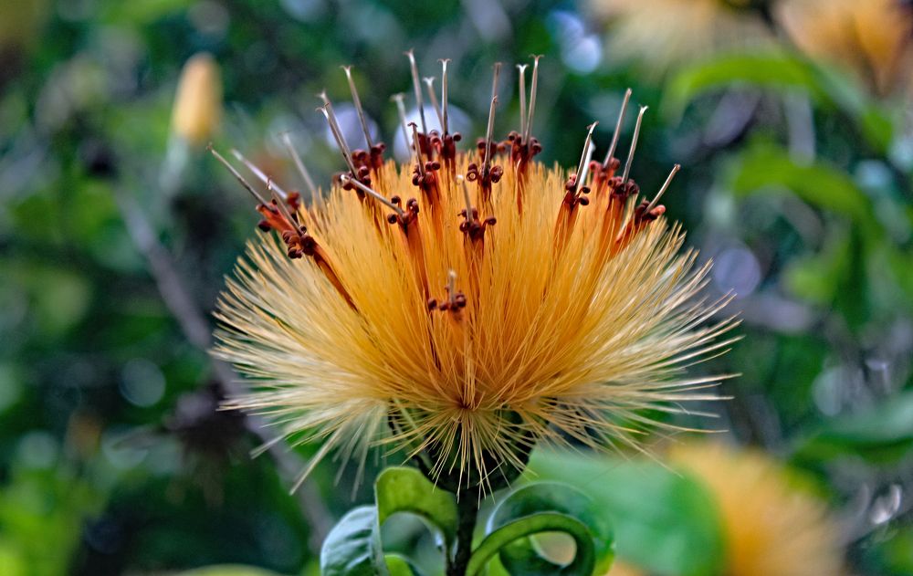 Фотография автора Márcia Cristina Machado