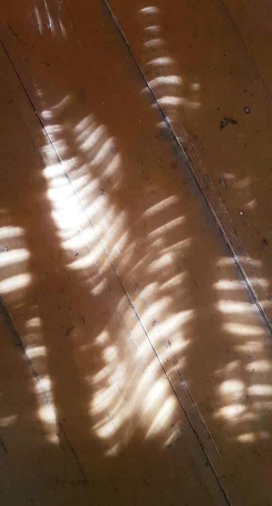 Photograph by Оксана Крылович