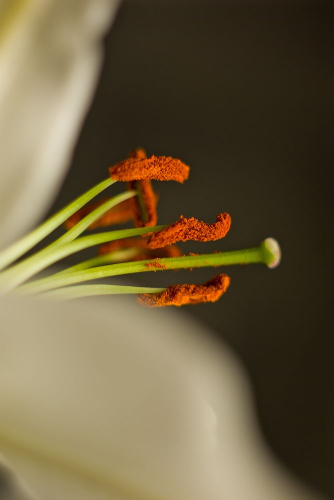 Photograph by Виктория Уварова