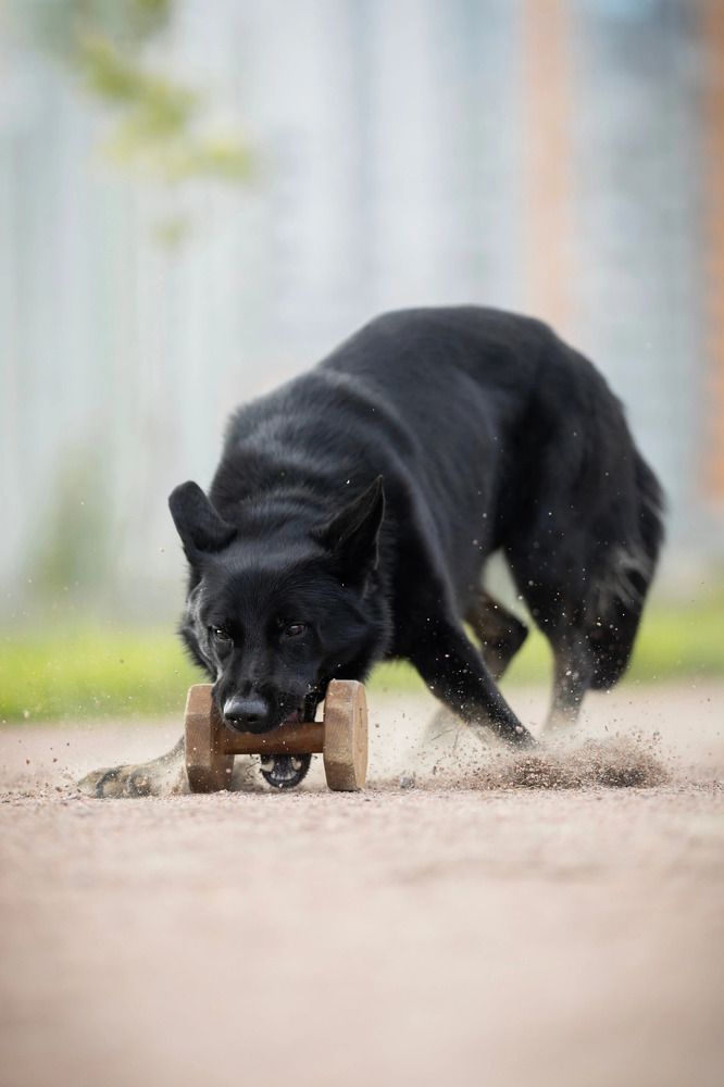 Photograph by Мария Романова