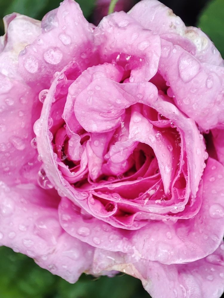 Фотография автора Татьяна Могилевец