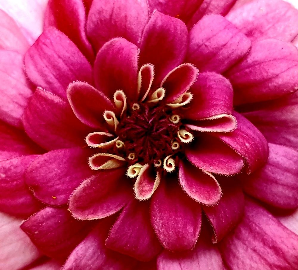 Photograph by Ева Кучугурова